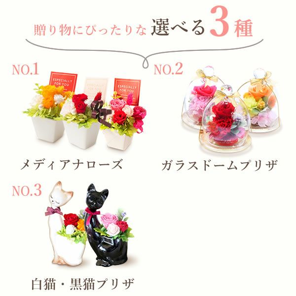 選べる3種！プリザーブドフラワー＆スイーツセット 【母の日 プレゼント 花 ギフト プリザーブドフラワー プリザ 薔薇 バラ ねこ 猫 かわいい おしゃれ 枯れない花 フラワーアレンジメント 送料無料 スイーツ お菓子 洋菓子 ギフトセット おいもや】