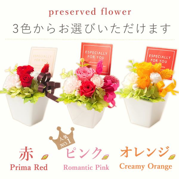 選べる3種！プリザーブドフラワー＆スイーツセット 【母の日 プレゼント 花 ギフト プリザーブドフラワー プリザ 薔薇 バラ ねこ 猫 かわいい おしゃれ 枯れない花 フラワーアレンジメント 送料無料 スイーツ お菓子 洋菓子 ギフトセット おいもや】