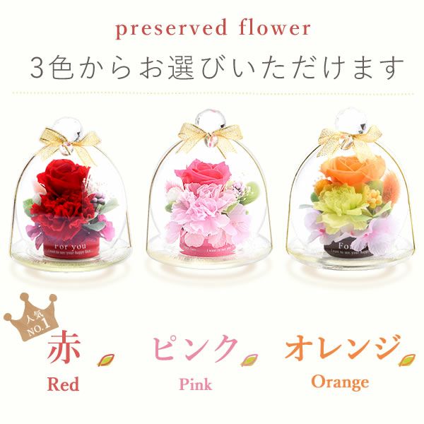 選べる3種！プリザーブドフラワー＆スイーツセット 【母の日 プレゼント 花 ギフト プリザーブドフラワー プリザ 薔薇 バラ ねこ 猫 かわいい おしゃれ 枯れない花 フラワーアレンジメント 送料無料 スイーツ お菓子 洋菓子 ギフトセット おいもや】