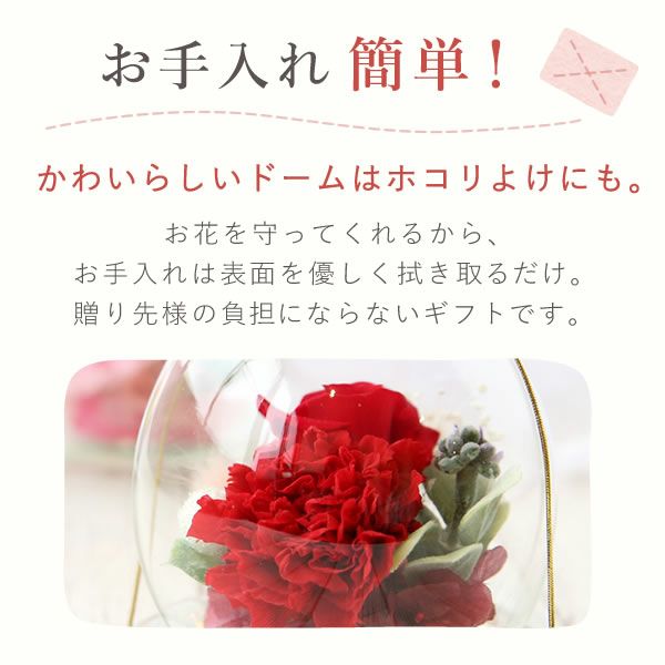 選べる3種！プリザーブドフラワー＆スイーツセット 【母の日 プレゼント 花 ギフト プリザーブドフラワー プリザ 薔薇 バラ ねこ 猫 かわいい おしゃれ 枯れない花 フラワーアレンジメント 送料無料 スイーツ お菓子 洋菓子 ギフトセット おいもや】