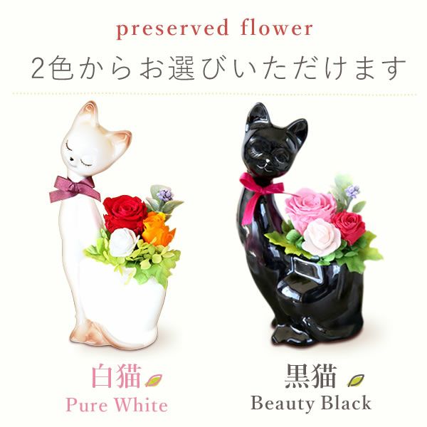 選べる3種！プリザーブドフラワー＆スイーツセット 【母の日 プレゼント 花 ギフト プリザーブドフラワー プリザ 薔薇 バラ ねこ 猫 かわいい おしゃれ 枯れない花 フラワーアレンジメント 送料無料 スイーツ お菓子 洋菓子 ギフトセット おいもや】