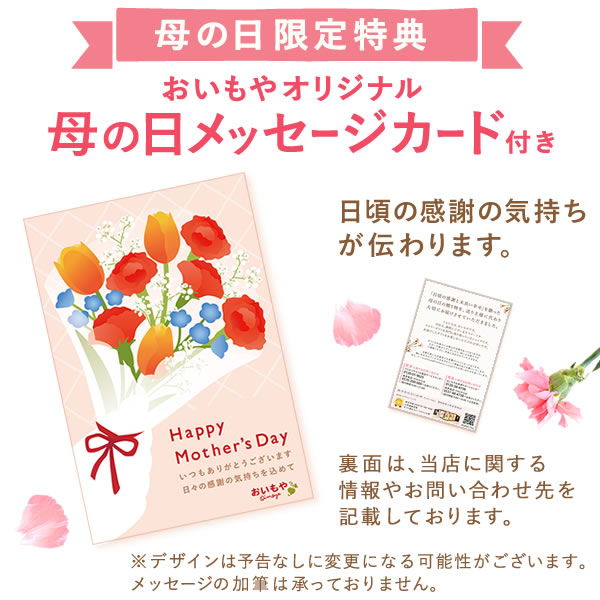 母の日 2025 選べる選べるフラワーリースL＆スイーツセット【プレゼント 花 ギフト ドライフラワー 枯れない花 造花 フラワーアレンジメント おしゃれ 可愛い リース フラワーリース ウェルカム インテリア 送料無料 スイーツ お菓子 洋菓子 ギフトセット おいもや】