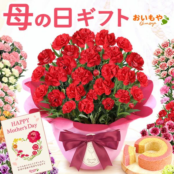 カーネーション(5号)＆ミニバウムクーヘンセット 母の日 プレゼント 花 生花 ギフト 鉢植え 希少 カーネーション 5号サイズ バウムクーヘン メッセージカード付き ラッピング 人気  おしゃれ かわいい 送料無料 送料無料 スイーツ お菓子 洋菓子 ギフトセット