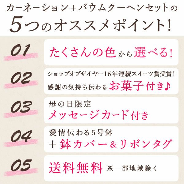 カーネーション(5号)＆ミニバウムクーヘンセット 母の日 プレゼント 花 生花 ギフト 鉢植え 希少 カーネーション 5号サイズ バウムクーヘン メッセージカード付き ラッピング 人気  おしゃれ かわいい 送料無料 送料無料 スイーツ お菓子 洋菓子 ギフトセット