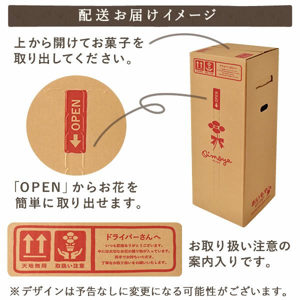 カーネーション(5号)＆ミニバウムクーヘンセット 母の日 プレゼント 花 生花 ギフト 鉢植え 希少 カーネーション 5号サイズ バウムクーヘン メッセージカード付き ラッピング 人気  おしゃれ かわいい 送料無料 送料無料 スイーツ お菓子 洋菓子 ギフトセット
