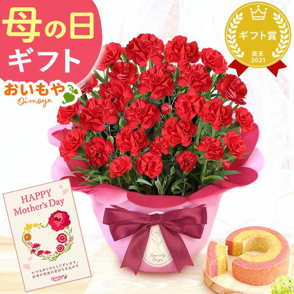 カーネーション(5号)＆ミニバウムクーヘンセット 母の日 プレゼント 花 生花 ギフト 鉢植え 希少 カーネーション 5号サイズ バウムクーヘン メッセージカード付き ラッピング 人気  おしゃれ かわいい 送料無料 送料無料 スイーツ お菓子 洋菓子 ギフトセット