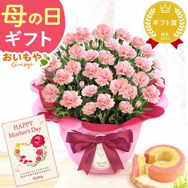 カーネーション(5号)＆ミニバウムクーヘンセット 母の日 プレゼント 花 生花 ギフト 鉢植え 希少 カーネーション 5号サイズ バウムクーヘン メッセージカード付き ラッピング 人気  おしゃれ かわいい 送料無料 送料無料 スイーツ お菓子 洋菓子 ギフトセット