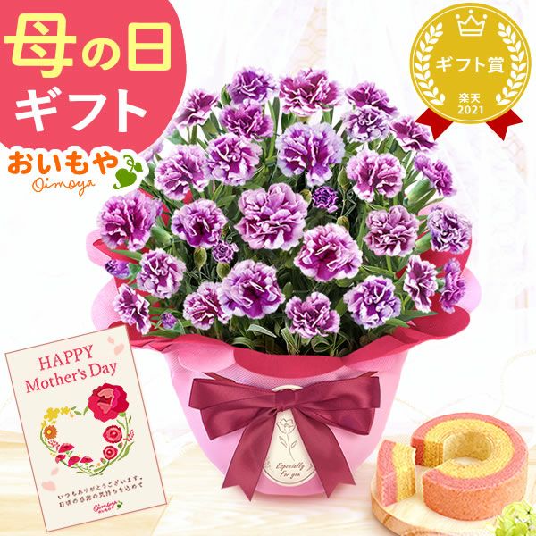 カーネーション(5号)＆ミニバウムクーヘンセット 母の日 プレゼント 花 生花 ギフト 鉢植え 希少 カーネーション 5号サイズ バウムクーヘン メッセージカード付き ラッピング 人気  おしゃれ かわいい 送料無料 送料無料 スイーツ お菓子 洋菓子 ギフトセット