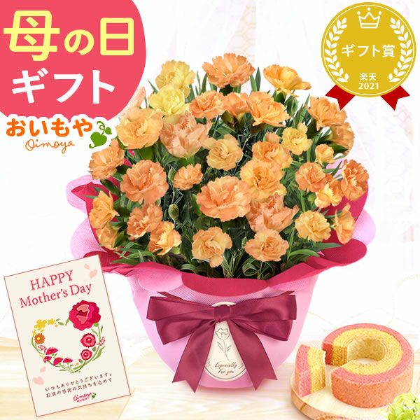 カーネーション(5号)＆ミニバウムクーヘンセット 母の日 プレゼント 花 生花 ギフト 鉢植え 希少 カーネーション 5号サイズ バウムクーヘン メッセージカード付き ラッピング 人気  おしゃれ かわいい 送料無料 送料無料 スイーツ お菓子 洋菓子 ギフトセット