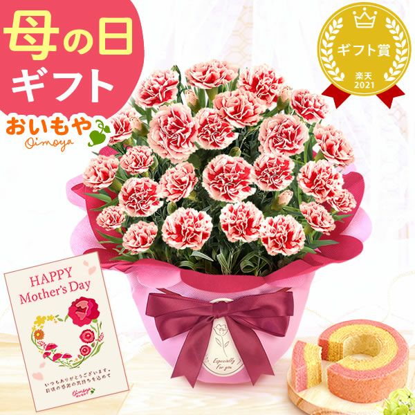 カーネーション(5号)＆ミニバウムクーヘンセット 母の日 プレゼント 花 生花 ギフト 鉢植え 希少 カーネーション 5号サイズ バウムクーヘン メッセージカード付き ラッピング 人気  おしゃれ かわいい 送料無料 送料無料 スイーツ お菓子 洋菓子 ギフトセット