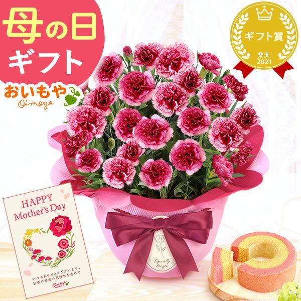 カーネーション(5号)＆ミニバウムクーヘンセット 母の日 プレゼント 花 生花 ギフト 鉢植え 希少 カーネーション 5号サイズ バウムクーヘン メッセージカード付き ラッピング 人気  おしゃれ かわいい 送料無料 送料無料 スイーツ お菓子 洋菓子 ギフトセット