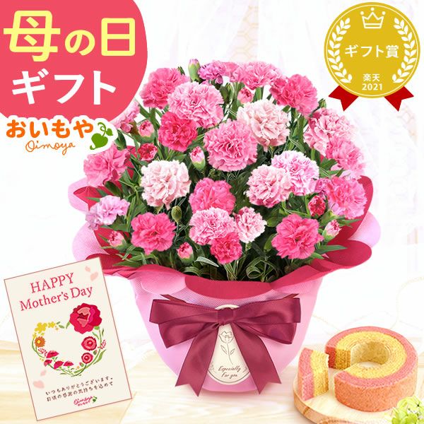 カーネーション(5号)＆ミニバウムクーヘンセット 母の日 プレゼント 花 生花 ギフト 鉢植え 希少 カーネーション 5号サイズ バウムクーヘン メッセージカード付き ラッピング 人気  おしゃれ かわいい 送料無料 送料無料 スイーツ お菓子 洋菓子 ギフトセット