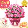 カーネーション(5号)＆ミニバウムクーヘンセット 母の日 プレゼント 花 生花 ギフト 鉢植え 希少 カーネーション 5号サイズ バウムクーヘン メッセージカード付き ラッピング 人気  おしゃれ かわいい 送料無料 送料無料 スイーツ お菓子 洋菓子 ギフトセット