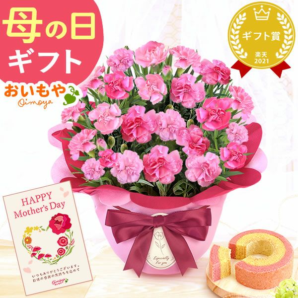 カーネーション(5号)＆ミニバウムクーヘンセット 母の日 プレゼント 花 生花 ギフト 鉢植え 希少 カーネーション 5号サイズ バウムクーヘン メッセージカード付き ラッピング 人気  おしゃれ かわいい 送料無料 送料無料 スイーツ お菓子 洋菓子 ギフトセット