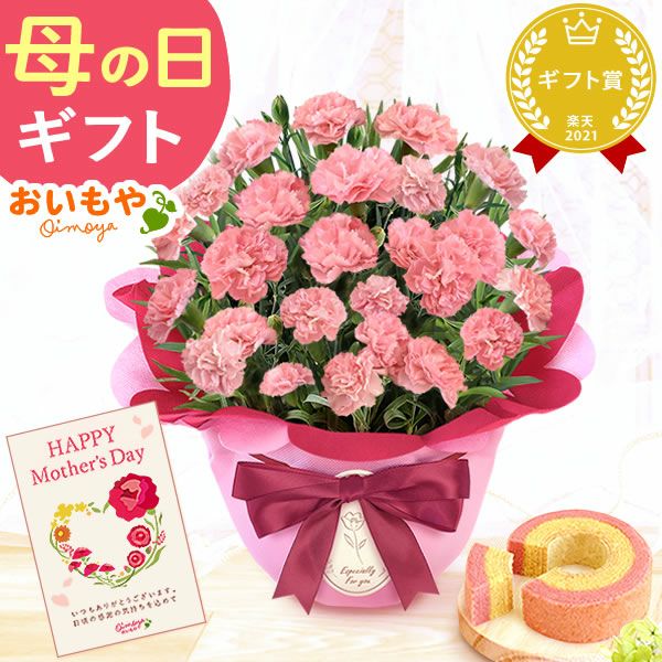 カーネーション(5号)＆ミニバウムクーヘンセット 母の日 プレゼント 花 生花 ギフト 鉢植え 希少 カーネーション 5号サイズ バウムクーヘン メッセージカード付き ラッピング 人気  おしゃれ かわいい 送料無料 送料無料 スイーツ お菓子 洋菓子 ギフトセット