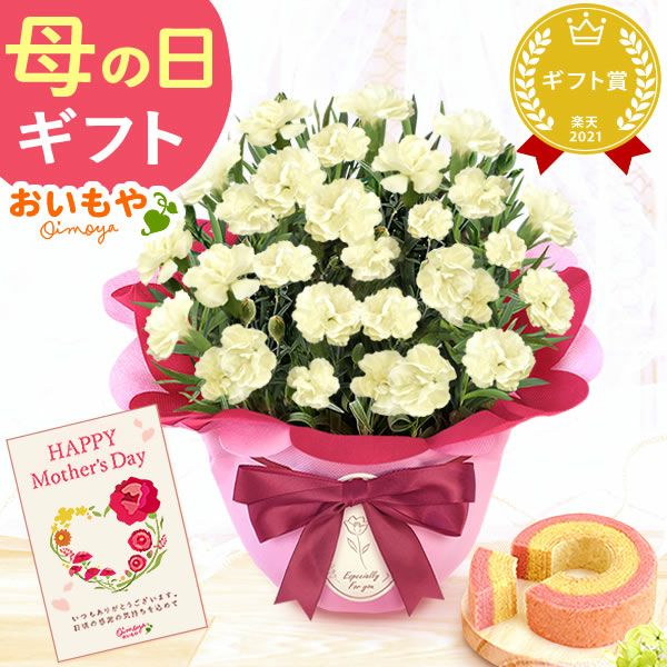 カーネーション(5号)＆ミニバウムクーヘンセット 母の日 プレゼント 花 生花 ギフト 鉢植え 希少 カーネーション 5号サイズ バウムクーヘン メッセージカード付き ラッピング 人気  おしゃれ かわいい 送料無料 送料無料 スイーツ お菓子 洋菓子 ギフトセット