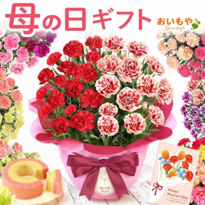 新作＊八重桜とスイトピーの大きなオーバルリース＊お祝い＊ギフト