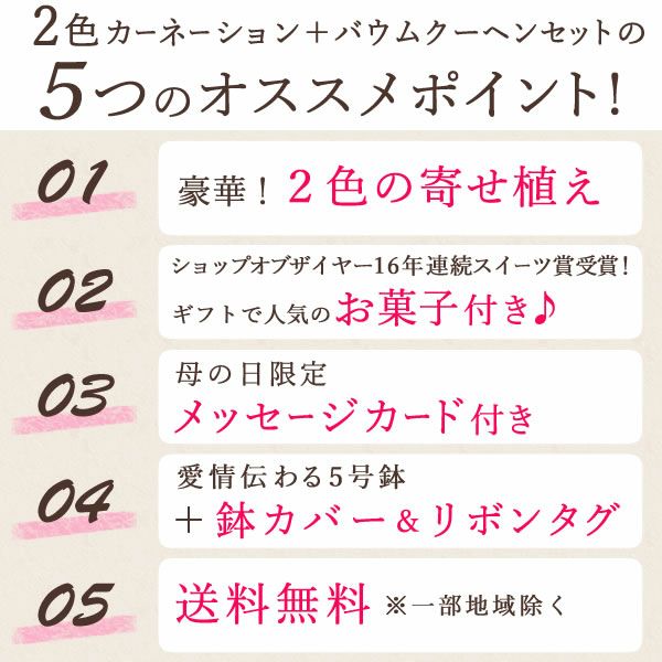 2色植えカーネーション(5号)＆ミニバウムクーヘン 母の日 プレゼント 花 生花 ギフト カーネーション 選べる 2色 8種 鉢植え 寄せ植え 鉢花 花鉢 希少 バウムクーヘン 苺 送料無料 スイーツ お菓子 洋菓子 ギフトセット