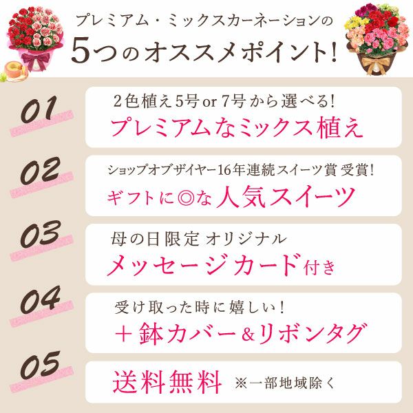 2色植えカーネーション(5号)＆ミニバウムクーヘン 母の日 プレゼント 花 生花 ギフト カーネーション 選べる 2色 8種 鉢植え 寄せ植え 鉢花 花鉢 希少 バウムクーヘン 苺 送料無料 スイーツ お菓子 洋菓子 ギフトセット