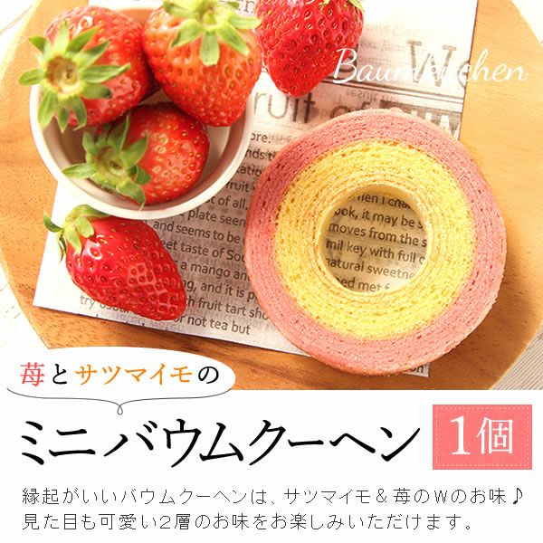 2色植えカーネーション(5号)＆ミニバウムクーヘン 母の日 プレゼント 花 生花 ギフト カーネーション 選べる 2色 8種 鉢植え 寄せ植え 鉢花 花鉢 希少 バウムクーヘン 苺 送料無料 スイーツ お菓子 洋菓子 ギフトセット