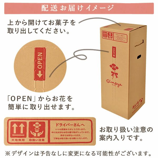 2色植えカーネーション(5号)＆ミニバウムクーヘン 母の日 プレゼント 花 生花 ギフト カーネーション 選べる 2色 8種 鉢植え 寄せ植え 鉢花 花鉢 希少 バウムクーヘン 苺 送料無料 スイーツ お菓子 洋菓子 ギフトセット