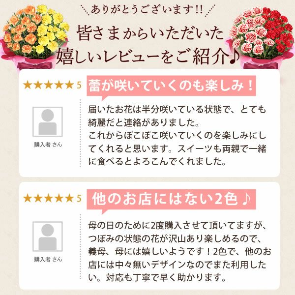 2色植えカーネーション(5号)＆ミニバウムクーヘン 母の日 プレゼント 花 生花 ギフト カーネーション 選べる 2色 8種 鉢植え 寄せ植え 鉢花 花鉢 希少 バウムクーヘン 苺 送料無料 スイーツ お菓子 洋菓子 ギフトセット