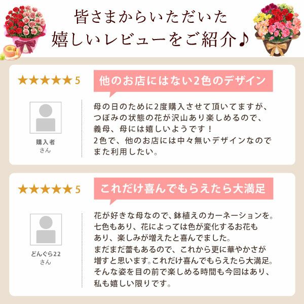 2色植えカーネーション(5号)＆ミニバウムクーヘン 母の日 プレゼント 花 生花 ギフト カーネーション 選べる 2色 8種 鉢植え 寄せ植え 鉢花 花鉢 希少 バウムクーヘン 苺 送料無料 スイーツ お菓子 洋菓子 ギフトセット