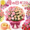 2色植えカーネーション(5号)＆ミニバウムクーヘン 母の日 プレゼント 花 生花 ギフト カーネーション 選べる 2色 8種 鉢植え 寄せ植え 鉢花 花鉢 希少 バウムクーヘン 苺 送料無料 スイーツ お菓子 洋菓子 ギフトセット
