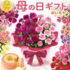 2色植えカーネーション(5号)＆ミニバウムクーヘン 母の日 プレゼント 花 生花 ギフト カーネーション 選べる 2色 8種 鉢植え 寄せ植え 鉢花 花鉢 希少 バウムクーヘン 苺 送料無料 スイーツ お菓子 洋菓子 ギフトセット
