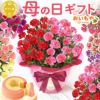 2色植えカーネーション(5号)＆ミニバウムクーヘン 母の日 プレゼント 花 生花 ギフト カーネーション 選べる 2色 8種 鉢植え 寄せ植え 鉢花 花鉢 希少 バウムクーヘン 苺 送料無料 スイーツ お菓子 洋菓子 ギフトセット