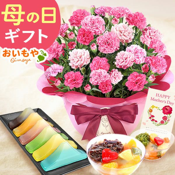 選べるカーネーション＆贅沢選べるスイーツセット 【母の日 プレゼント ははの日 花 生花 ギフト カーネーション あんみつ 羊羹 ようかん バウムクーヘン 干し芋 かりんとう まつば さつまいも 送料無料 スイーツ お菓子 和菓子 洋菓子 ギフトセット おいもや】