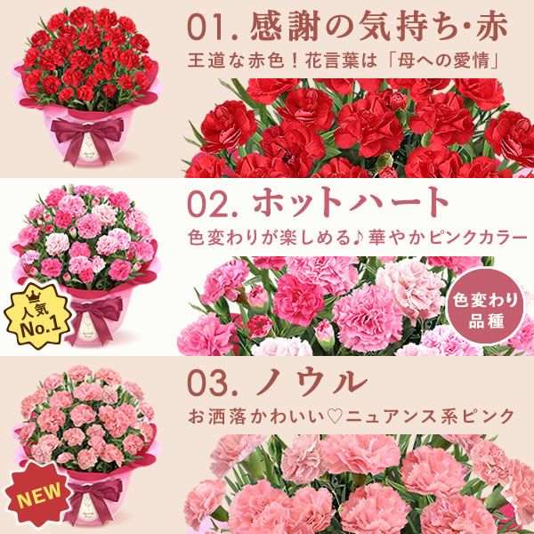 選べるカーネーション＆贅沢選べるスイーツセット 【母の日 プレゼント ははの日 花 生花 ギフト カーネーション あんみつ 羊羹 ようかん バウムクーヘン 干し芋 かりんとう まつば さつまいも 送料無料 スイーツ お菓子 和菓子 洋菓子 ギフトセット おいもや】