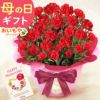 選べるカーネーション＆贅沢選べるスイーツセット 【母の日 プレゼント ははの日 花 生花 ギフト カーネーション あんみつ 羊羹 ようかん バウムクーヘン 干し芋 かりんとう まつば さつまいも 送料無料 スイーツ お菓子 和菓子 洋菓子 ギフトセット おいもや】