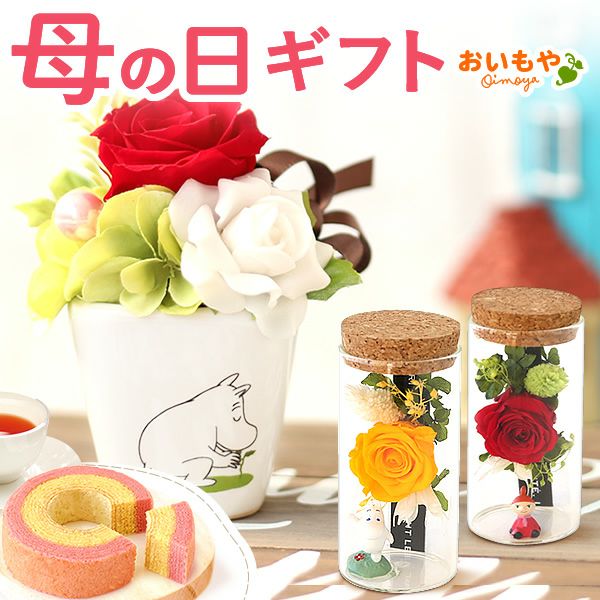 選べるムーミンギフトz＆スイーツセット 母の日 プレゼント 花 ギフト ムーミン ニョロニョロ キャラクター グッズ プリザ プリザーブドフラワー バウムクーヘン バラ 薔薇 花とスイーツ 送料無料 スイーツ お菓子 洋菓子 ギフトセット おいもや