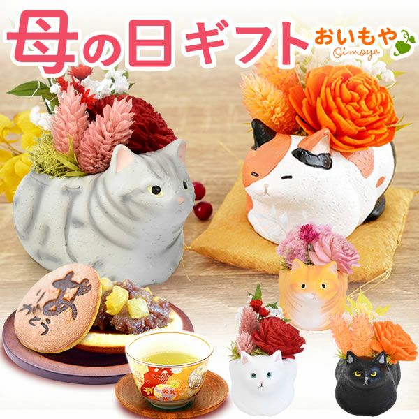 選べるミニ猫ポットプリザ＆お芋どら焼き | おいもや