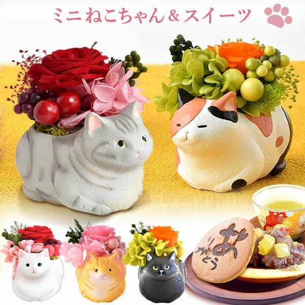 プレゼント 花 ギフトプリザーブドフラワー フラワーアレンジメント 薔薇 バラ あじさい 猫 ネコ 猫グッズ 猫好き 枯れない花 造花 インテリア 実用的 おしゃれ 可愛い どら焼き 送料無料 スイーツ お菓子 和菓子 ギフトセット おいもや