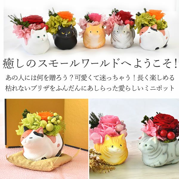 母の日 プレゼント 花 ギフトプリザーブドフラワー フラワーアレンジメント 薔薇 バラ あじさい 猫 ネコ 猫グッズ 猫好き 枯れない花 造花 インテリア 実用的 おしゃれ 可愛い どら焼き 送料無料 スイーツ お菓子 和菓子 ギフトセット おいもや