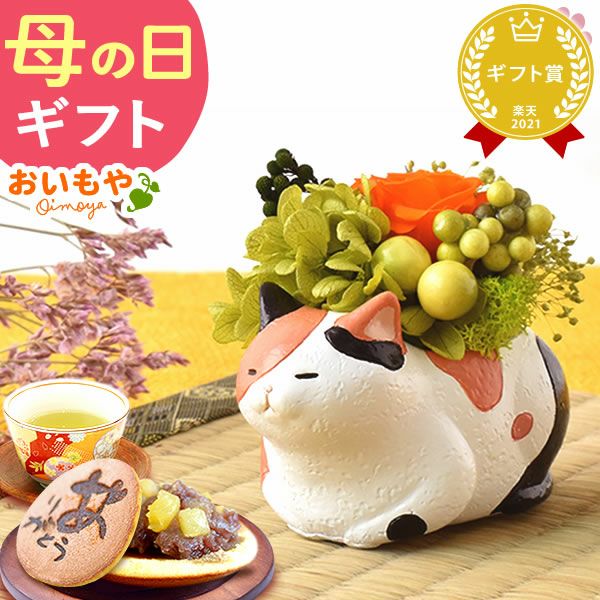 母の日 プレゼント 花 ギフトプリザーブドフラワー フラワーアレンジメント 薔薇 バラ あじさい 猫 ネコ 猫グッズ 猫好き 枯れない花 造花 インテリア 実用的 おしゃれ 可愛い どら焼き 送料無料 スイーツ お菓子 和菓子 ギフトセット おいもや