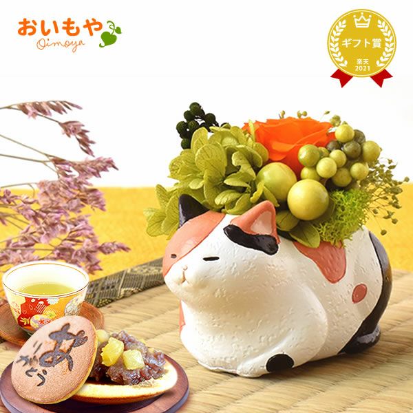 母の日 プレゼント 花 ギフトプリザーブドフラワー フラワーアレンジメント 薔薇 バラ あじさい 猫 ネコ 猫グッズ 猫好き 枯れない花 造花 インテリア 実用的 おしゃれ 可愛い どら焼き 送料無料 スイーツ お菓子 和菓子 ギフトセット おいもや