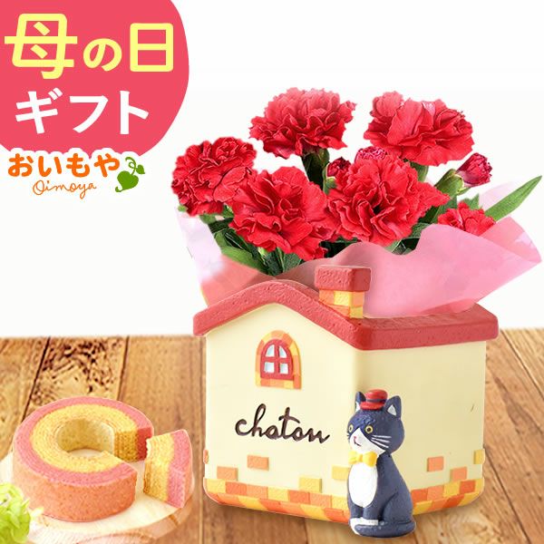 オリジナル猫ポット＆選べるカーネーションとミニバウムクーヘンセット 母の日 プレゼント 花 ギフト カーネーション ケイトウ 花鉢 鉢花 鉢植え アニマル 犬 猫 ネコ ねこ クマ くま バウムクーヘン いちご 苺 イチゴ 送料無料 スイーツ お菓子 洋菓子 ギフトセット おいもや