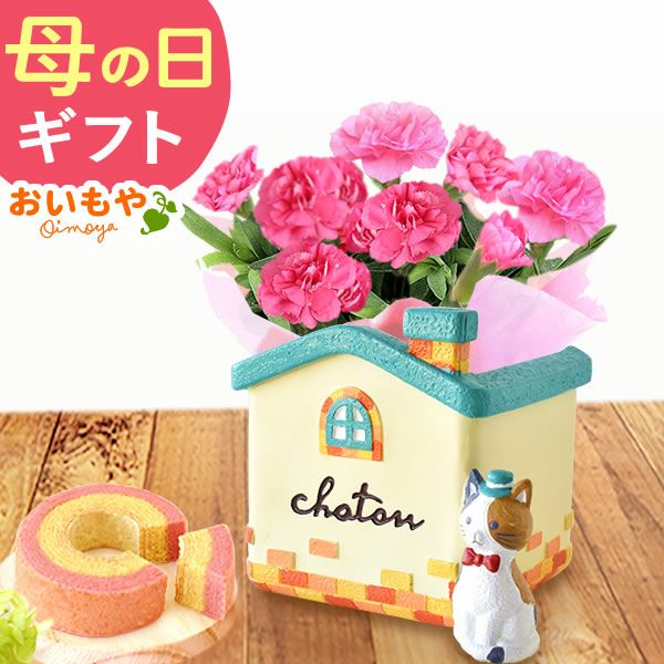 オリジナル猫ポット＆選べるカーネーションとミニバウムクーヘンセット 母の日 プレゼント 花 ギフト カーネーション ケイトウ 花鉢 鉢花 鉢植え アニマル 犬 猫 ネコ ねこ クマ くま バウムクーヘン いちご 苺 イチゴ 送料無料 スイーツ お菓子 洋菓子 ギフトセット おいもや