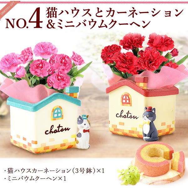 オリジナル猫ポット＆選べるカーネーションとミニバウムクーヘンセット 母の日 プレゼント 花 ギフト カーネーション ケイトウ 花鉢 鉢花 鉢植え アニマル 犬 猫 ネコ ねこ クマ くま バウムクーヘン いちご 苺 イチゴ 送料無料 スイーツ お菓子 洋菓子 ギフトセット おいもや