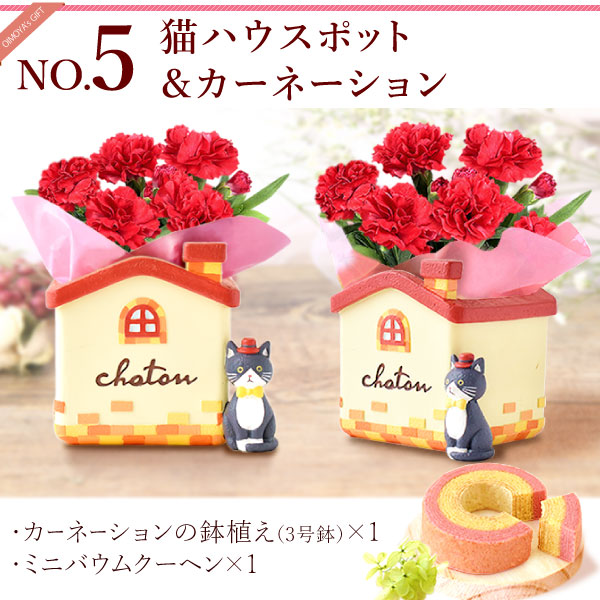 オリジナル猫ポット＆選べるカーネーションとミニバウムクーヘンセット 母の日 プレゼント 花 ギフト カーネーション ケイトウ 花鉢 鉢花 鉢植え アニマル 犬 猫 ネコ ねこ クマ くま バウムクーヘン いちご 苺 イチゴ 送料無料 スイーツ お菓子 洋菓子 ギフトセット おいもや