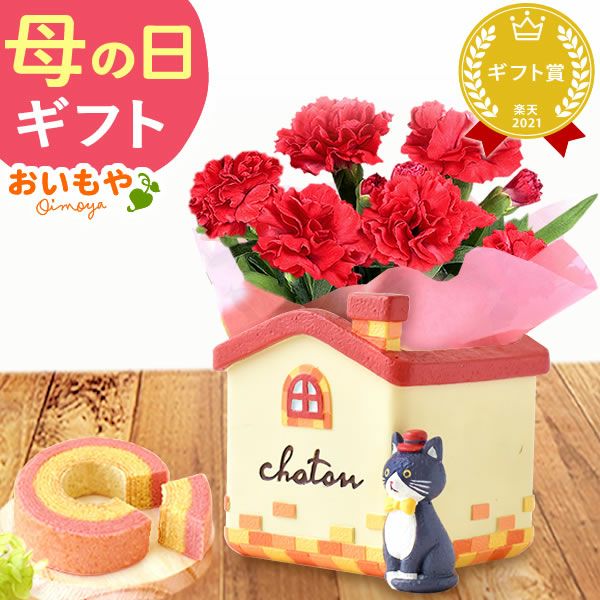 オリジナル猫ポット＆選べるカーネーションとミニバウムクーヘンセット 母の日 プレゼント 花 ギフト カーネーション ケイトウ 花鉢 鉢花 鉢植え アニマル 犬 猫 ネコ ねこ クマ くま バウムクーヘン いちご 苺 イチゴ 送料無料 スイーツ お菓子 洋菓子 ギフトセット おいもや