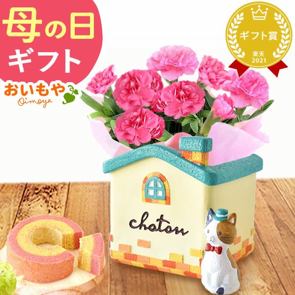 オリジナル猫ポット＆選べるカーネーションとミニバウムクーヘンセット 母の日 プレゼント 花 ギフト カーネーション ケイトウ 花鉢 鉢花 鉢植え アニマル 犬 猫 ネコ ねこ クマ くま バウムクーヘン いちご 苺 イチゴ 送料無料 スイーツ お菓子 洋菓子 ギフトセット おいもや