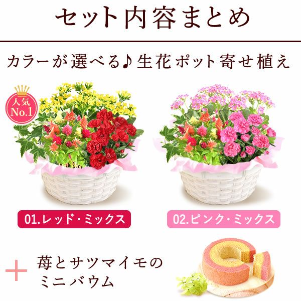 母の日 プレゼント 花 生花 ギフト カーネーション カランコエ ケイトウ ヘデラ 生花 鉢植え 寄せ植え 編み籠 ポット ミックス 送料無料 スイーツ お菓子 洋菓子 ギフトセット おいもや