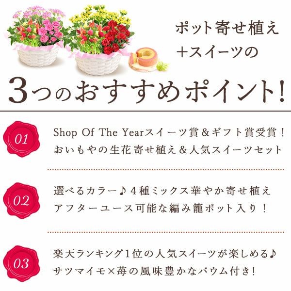 母の日 プレゼント 花 生花 ギフト カーネーション カランコエ ケイトウ ヘデラ 生花 鉢植え 寄せ植え 編み籠 ポット ミックス 送料無料 スイーツ お菓子 洋菓子 ギフトセット おいもや