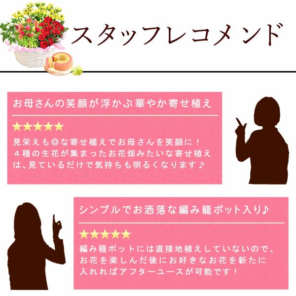 母の日 プレゼント 花 生花 ギフト カーネーション カランコエ ケイトウ ヘデラ 生花 鉢植え 寄せ植え 編み籠 ポット ミックス 送料無料 スイーツ お菓子 洋菓子 ギフトセット おいもや