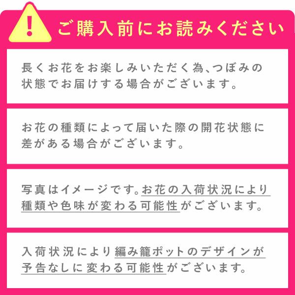 母の日 プレゼント 花 生花 ギフト カーネーション カランコエ ケイトウ ヘデラ 生花 鉢植え 寄せ植え 編み籠 ポット ミックス 送料無料 スイーツ お菓子 洋菓子 ギフトセット おいもや