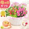 母の日 プレゼント 花 生花 ギフト カーネーション カランコエ ケイトウ ヘデラ 生花 鉢植え 寄せ植え 編み籠 ポット ミックス 送料無料 スイーツ お菓子 洋菓子 ギフトセット おいもや